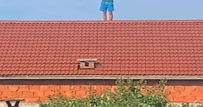 Netko je fotkao Dalmatinca koji je odlučio napraviti selfie na krovu kuće