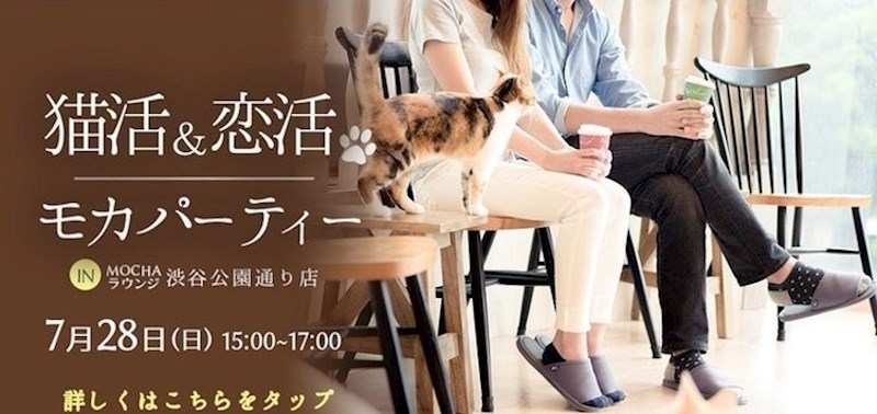 13. Ovo je mjesto gdje možete ići na romantični sastanak dok se igrate s mačkama. Ljubav svog života možete upoznati dok mazite mačku i dajete joj poseban mačji sladoled.