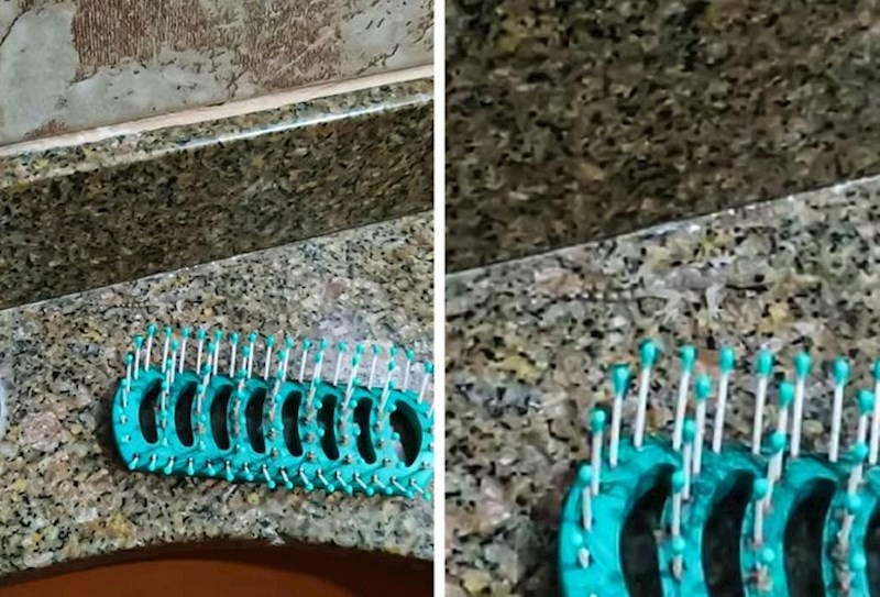 “Ovaj mali gušter na sudoperu.”