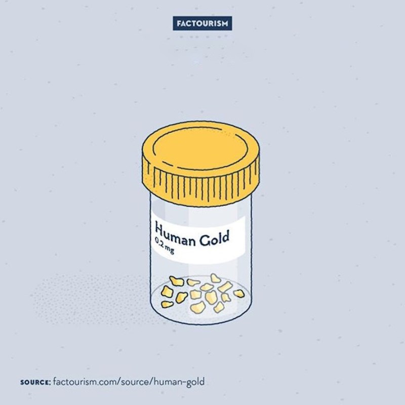 14. Unutar svakog od nas nalazi se 0,2 miligrama zlata.