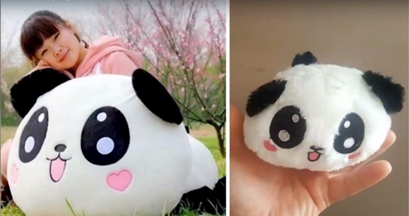 Očekivanja i realnost.