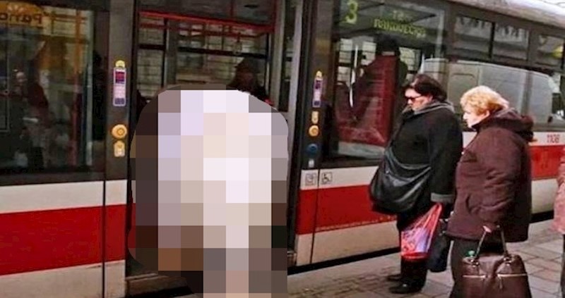 Neobičan putnik odlučio se provozati javnim prijevozom