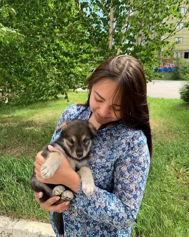Srećom, Alida, ruska državljanka, odlučila je primiti Kiru jer mali vuk nikako nije mogao preživjeti u divljini.