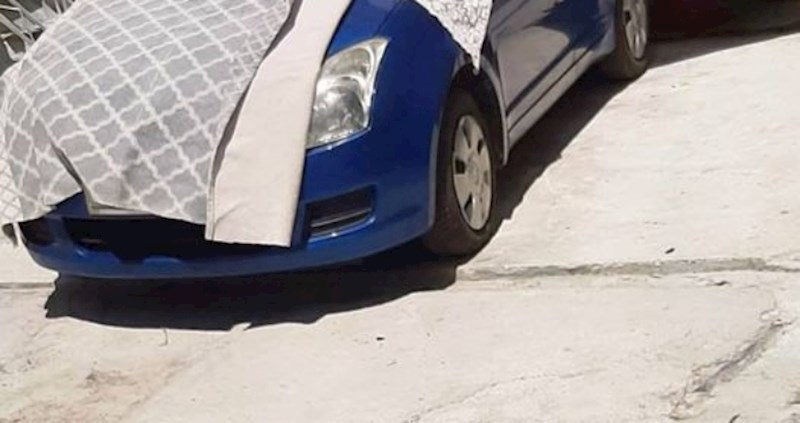 Vrućine u Splitu zahtijevaju posebnu brigu o limenim ljubimcima, pogledajte ovu zaštitu