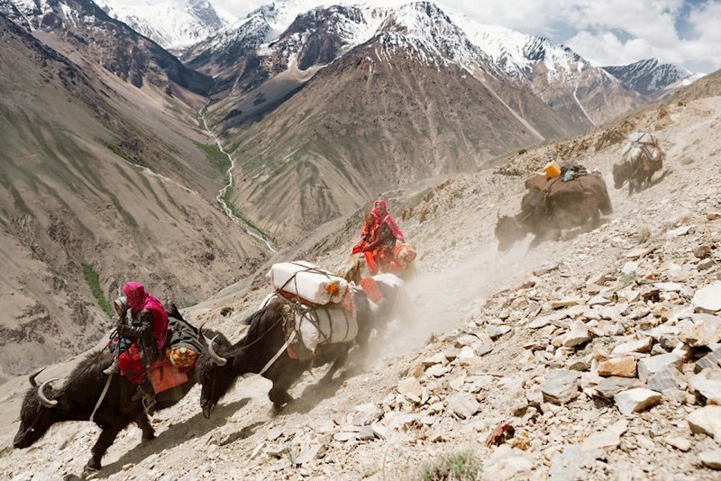 Alexander Niklass - Afghanistan