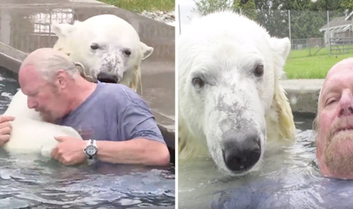 VIDEO Agee je polarna medvjedica koja kada ne glumi obožava provoditi vrijeme u bazenu