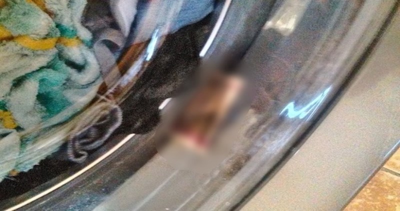 Netko je u perilici rublja pronašao nešto vrlo zanimljivo