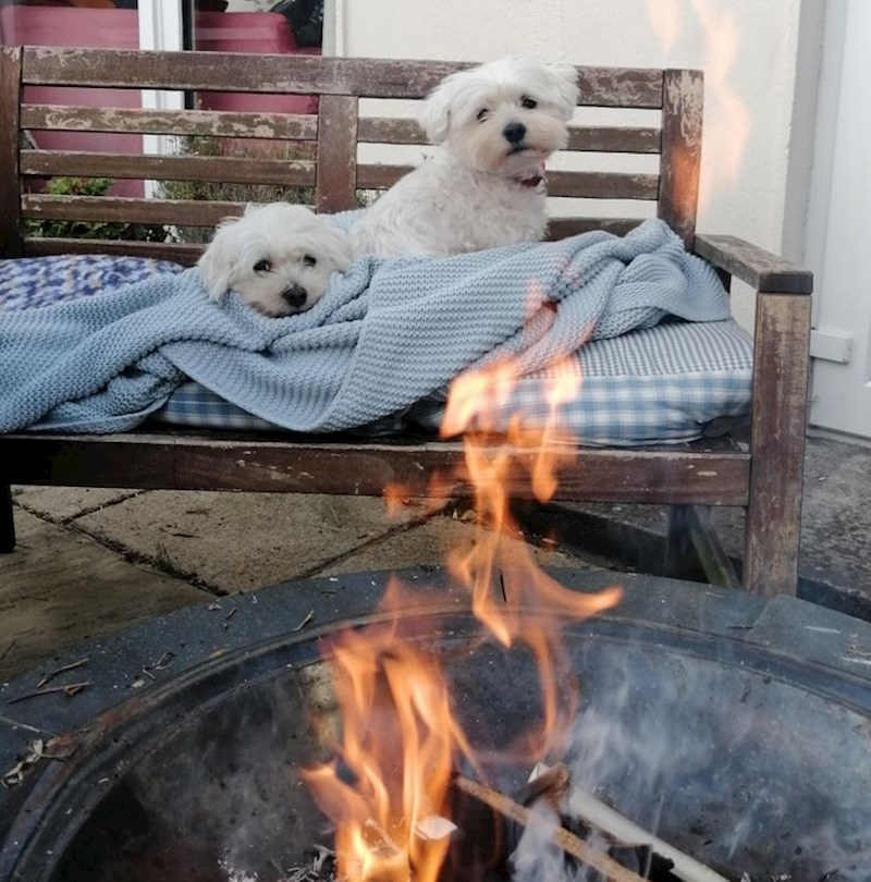 "Dvadeset prvi rođendan provodim sa svoja dva najbolja prijatelja."