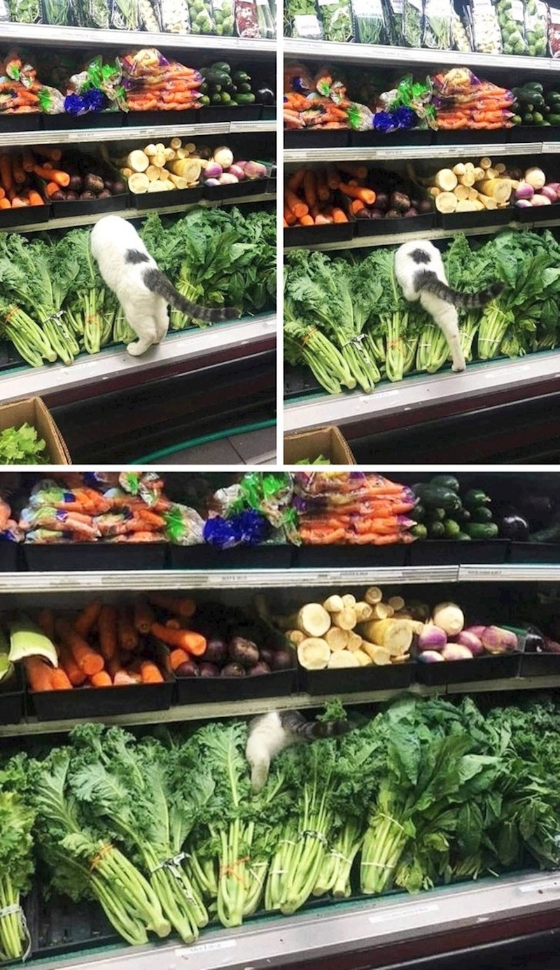 “U supermarketu vidio sam ovo.”