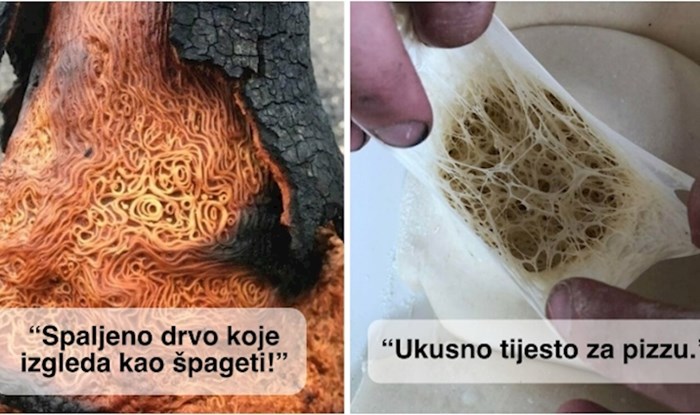 15 fotki koje su zaista uznemirile ljude; tripofobi su podijelili svoje najgore strahove