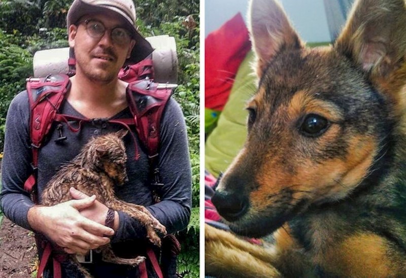 "Našao sam psa u džungli i sada imam najboljeg prijatelja."