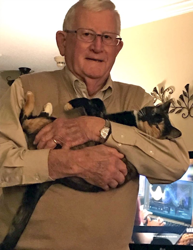 #6 "Moj tata je od "Ne želim tu mačku" došao do toga da je nosi sa sobom u krevet svake noći."