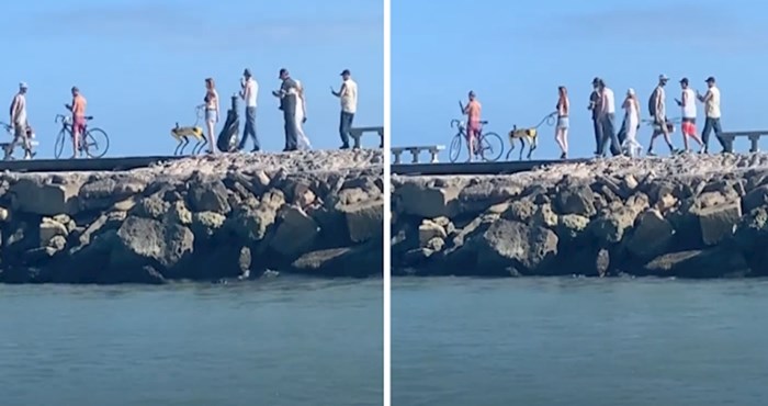 VIDEO Netko je na Floridi odlučio prošetati svog neobičnog psa