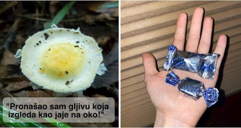 10+ primjera "zabranjene hrane" koja bi vas vrlo lako mogla zavarati izgledom