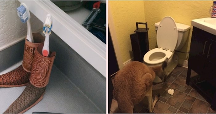 Ljudi na Twitteru dijele fotke kupaonica, pogledajte 13 najčudnijih