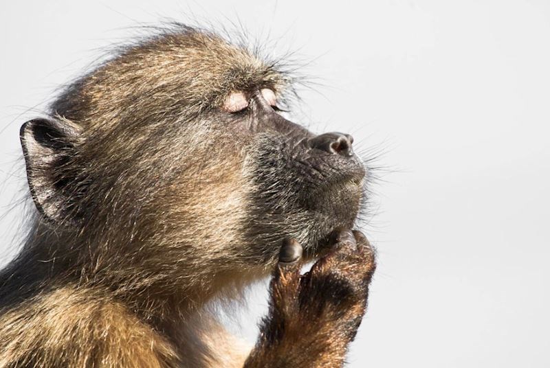 8. Ponekad se mogu izgubiti u svojim mislima.