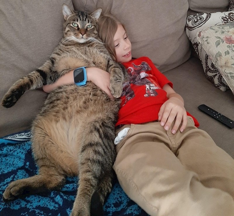 3. Mačke mogu smanjiti razinu stresa i anksioznosti.