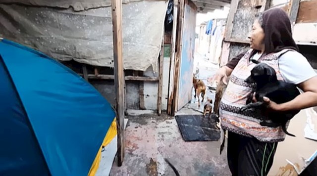Chole sada ostaje u skloništu za 50 pezosa dnevno. Ne živi u baš najboljim uvjetima, ali barem je njezina dlakava obitelj na okupu.