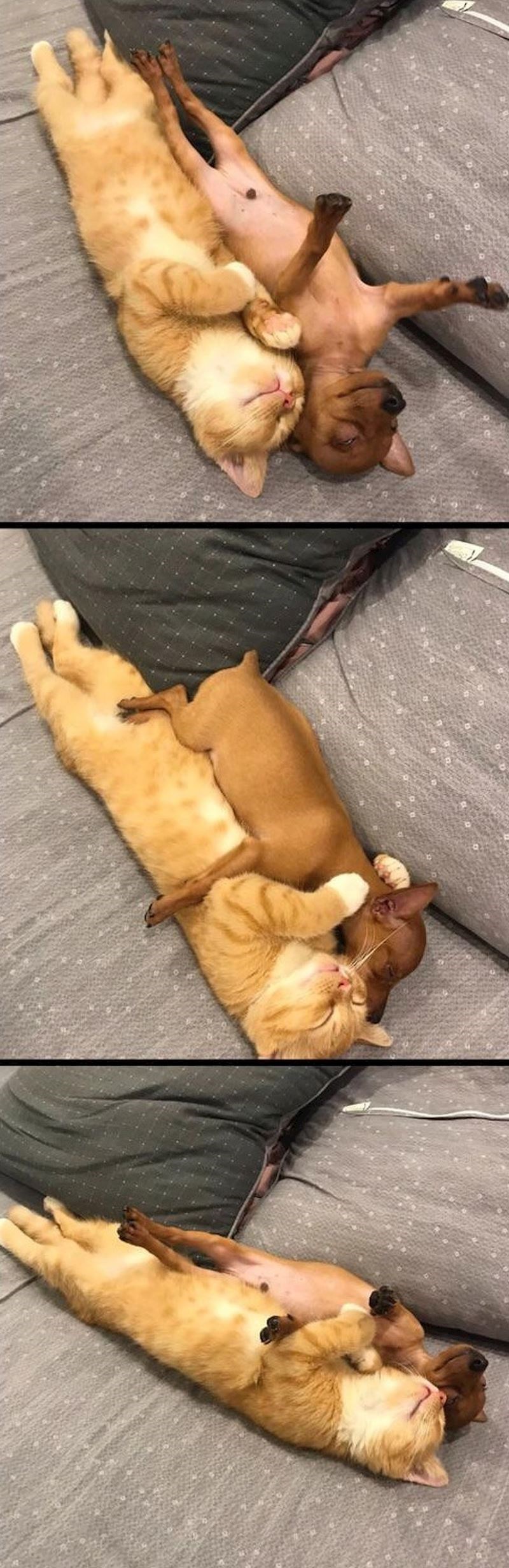 Ne zaboravite, uvijek se na nekoga možete osloniti.