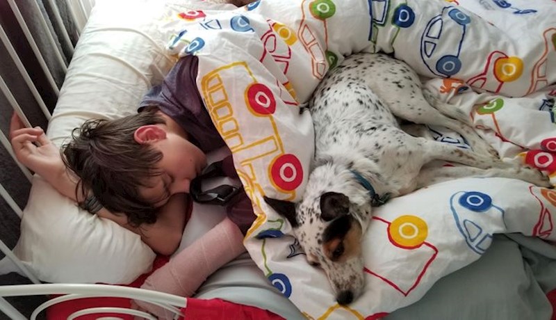 "Moj sin je slomio ruku i otkad se vratio kući pas moje djevojke neće napustiti njegovu sobu."