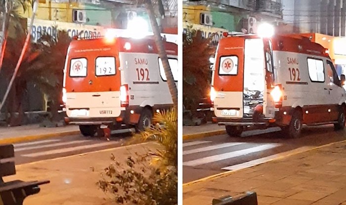 VIDEO Tijekom šetnje mu je pozlilo, pogledajte što je njegov pas učinio kad je došla hitna