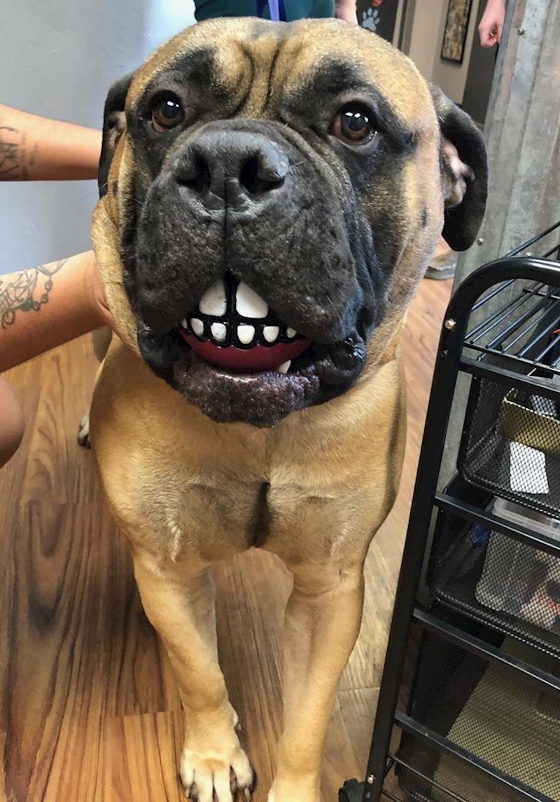 7. "Bowser sa svojom omiljenom loptom"