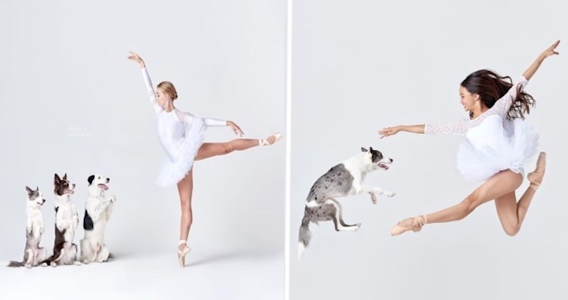 15 fotografija balerina i pasa u zanimljivim pozama