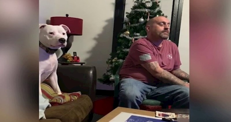 VIDEO Upoznajte Mishu, psa koji zahtijeva svu pažnju bez obzira na sve