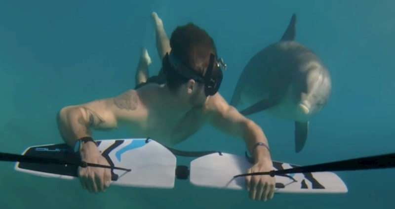 VIDEO Dupin imena Jojo obožava ljude, a voli se družiti i s psima