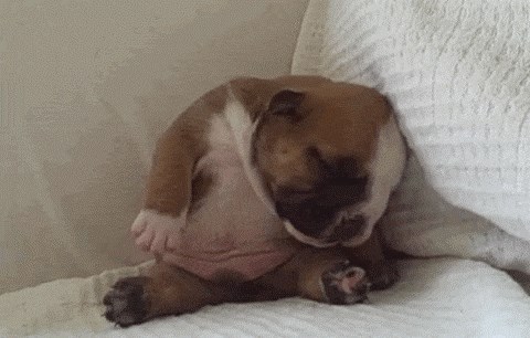 GIF: Ovako ste dočekali kraj smjene?