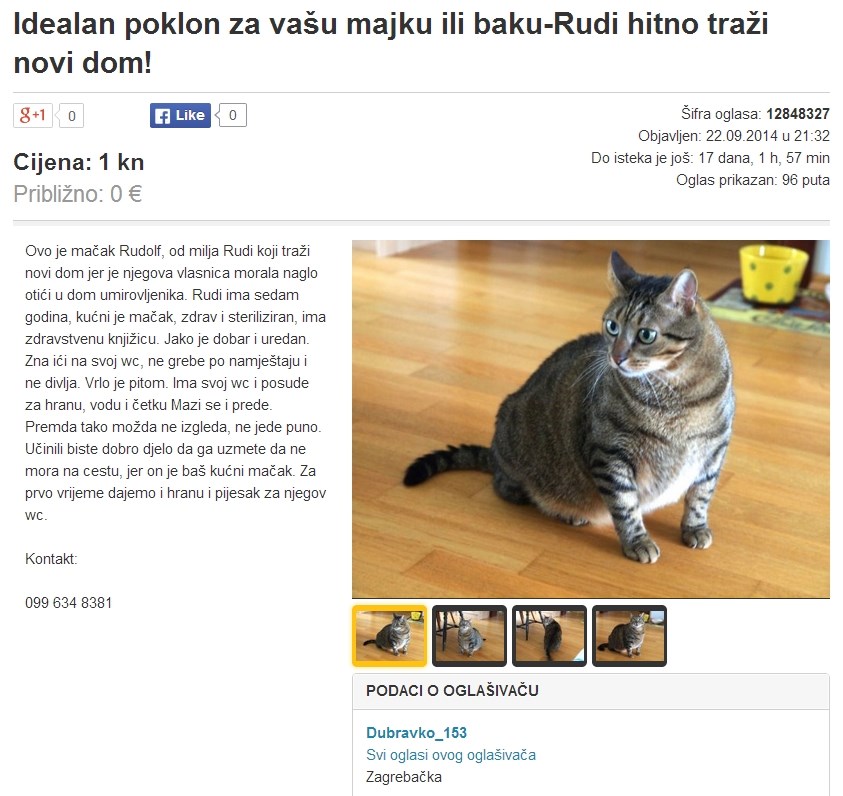 Udomi mačka Rudolfa