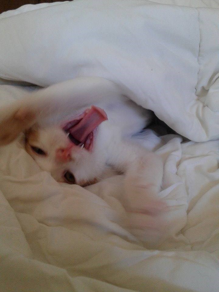 Uspavana Ljepotica :)