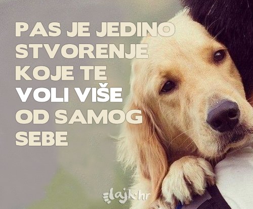 Zašto su psi toliko odani?