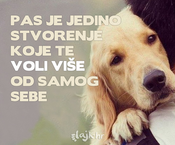 Zašto su psi toliko odani?