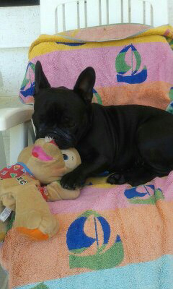 Gitica 