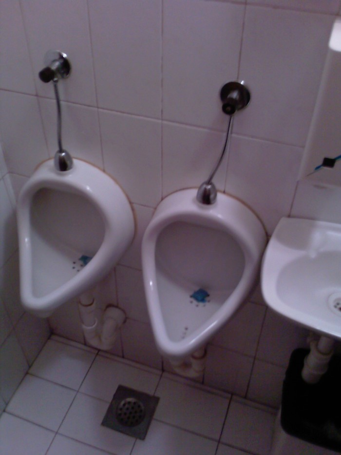 Twin pisoars