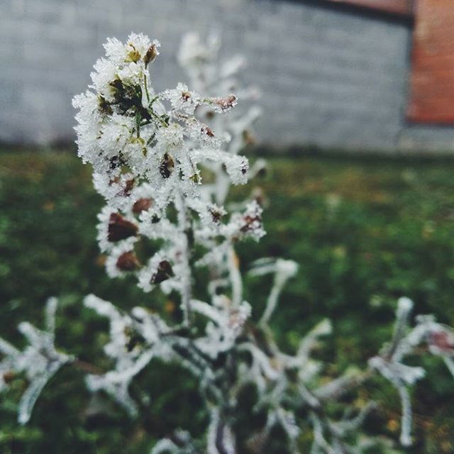 POPULARNI TEST: Saznajte kakva ste osoba!