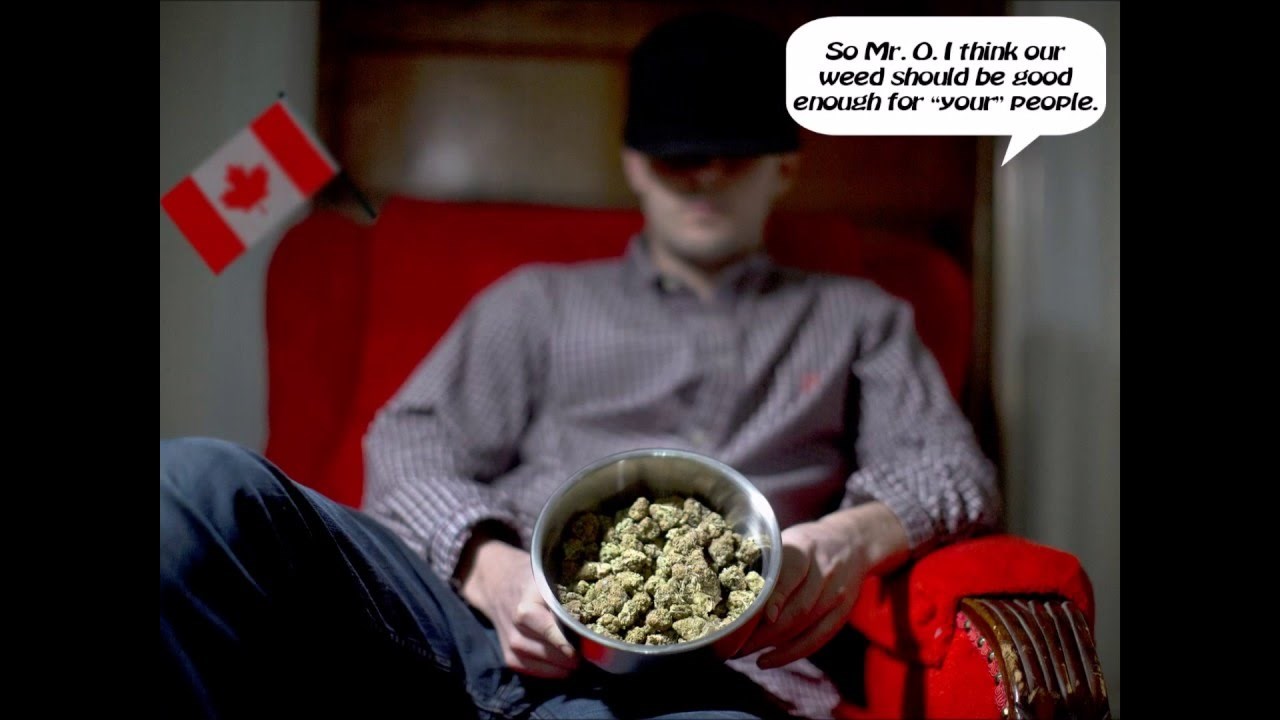 Kanadska trava za stoku sitnog zuba