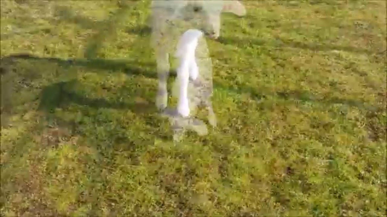 Jacques, maaaaali ovan