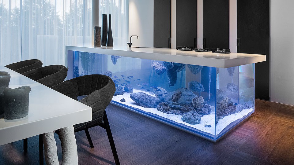 ocean-kitchen-aquarium-13921.jpg