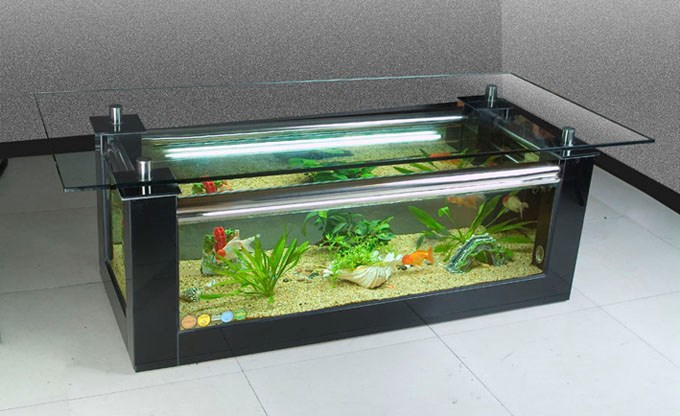 aquarium-coffee-table-designs.jpg