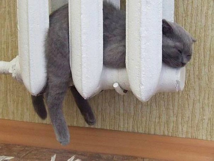 OO DAAAAA ;).jpg