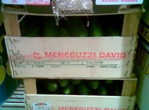 Mene guzzi David