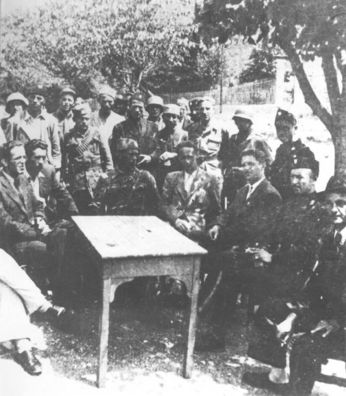 Četnici ustaše i domobrani u Bosni