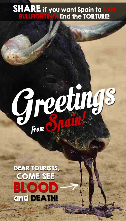 Korida je besmisleno mučenje: Podijeli ako želiš pomoći!