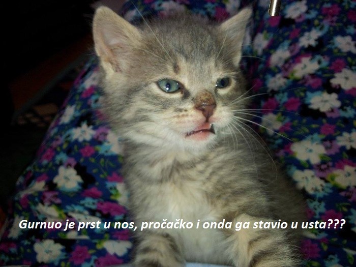 Sereš!!!!