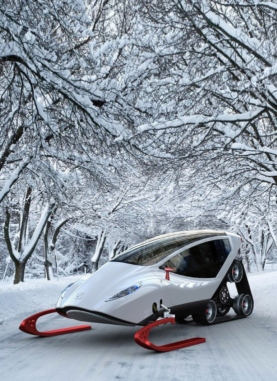 Luxury Snowmobile.