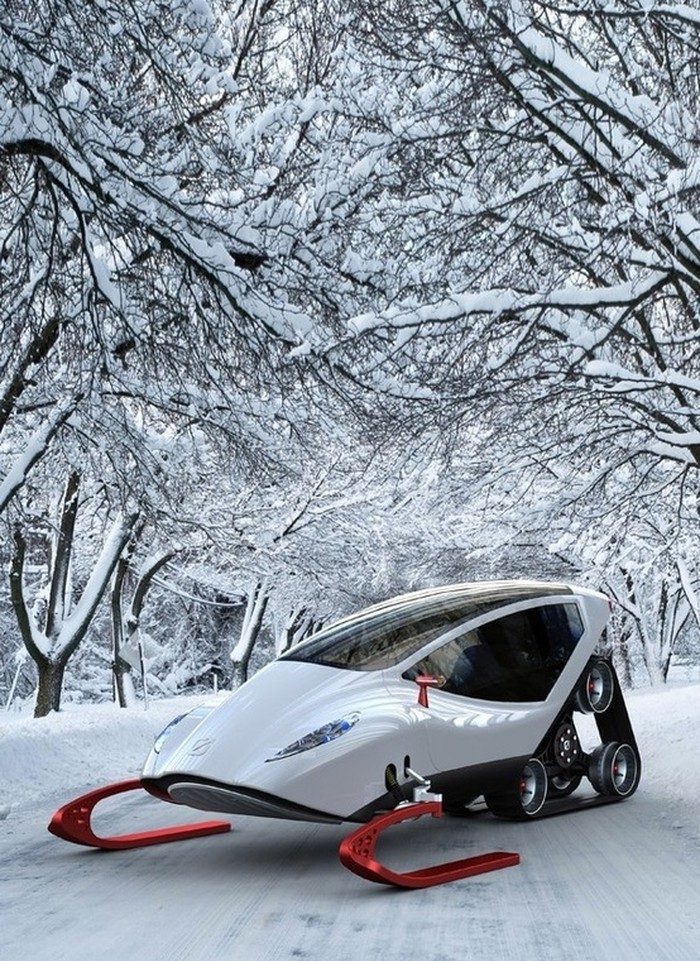 Luxury Snowmobile.