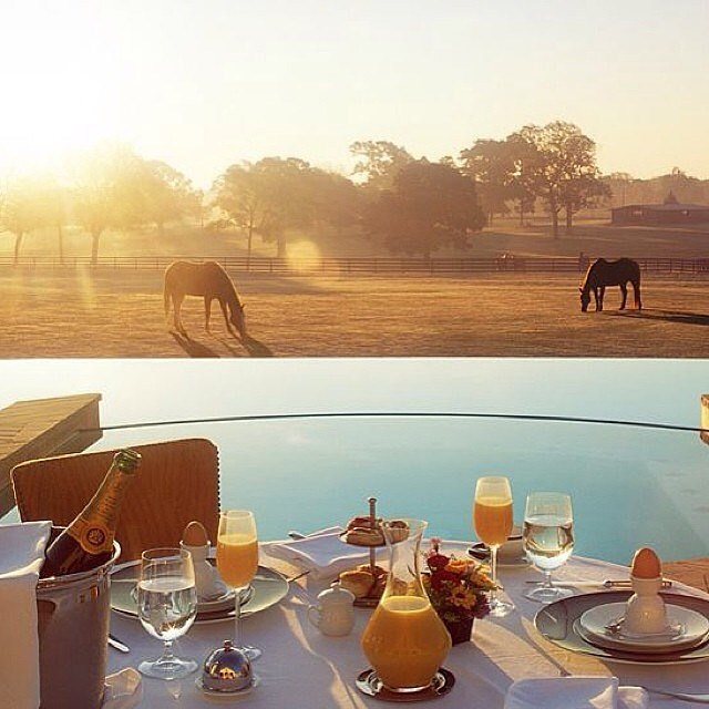 Breakfast with a view.