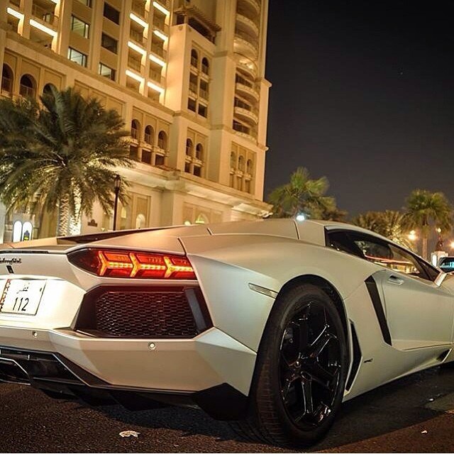 White Lambo.